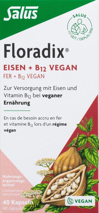 Produktbild Floradix Eisen und B 12 Vegan (40 Stück, Kapseln, 37 g)