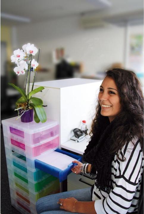 Image du produit Really Useful Box Fresh Colour (42 x 30 x 92.5 cm, 7 l)