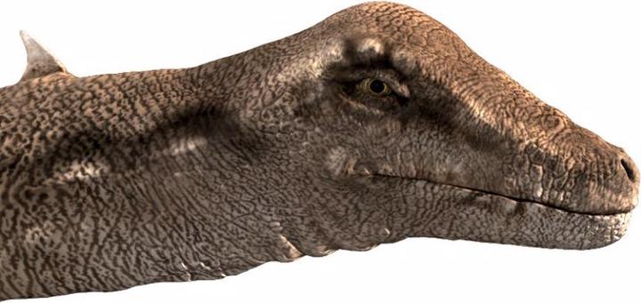 Immagine prodotto Brainstorm Museo di storia naturale - Torcia e proiettore per dinosauri (Tedesco, Francese, Italiano, Inglese)