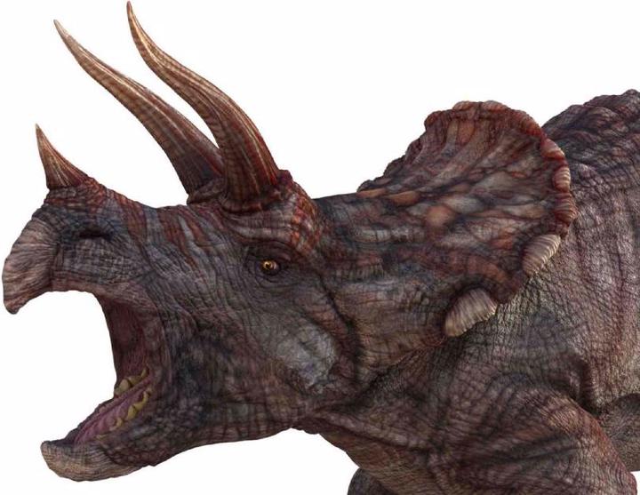 Immagine prodotto Brainstorm Museo di storia naturale - Torcia e proiettore per dinosauri (Tedesco, Francese, Italiano, Inglese)