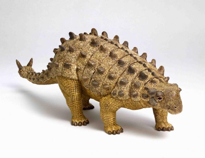 Immagine prodotto Brainstorm Museo di storia naturale - Torcia e proiettore per dinosauri (Tedesco, Francese, Italiano, Inglese)