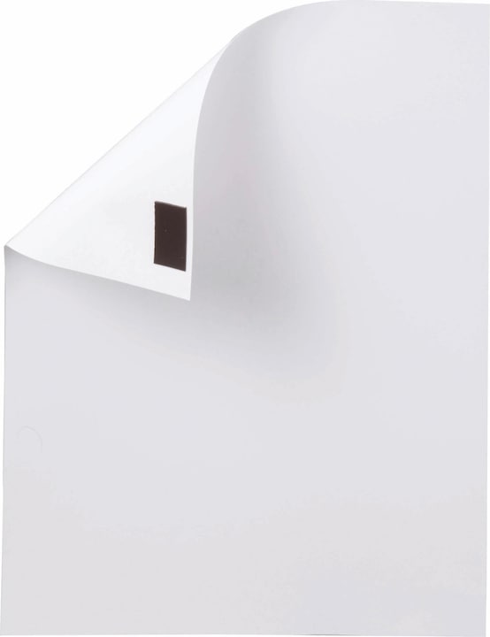 Actual product image Maul Magnetic tape (1 x)