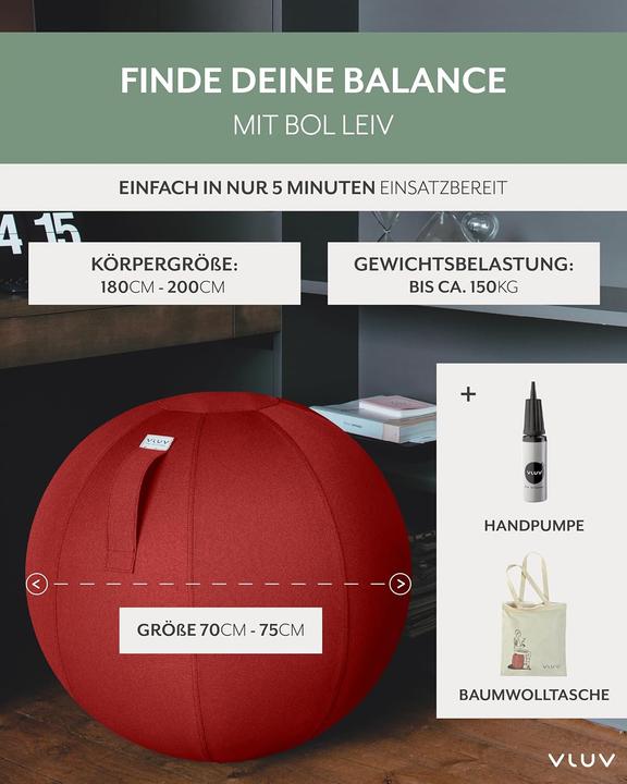 Immagine prodotto Vluv Ergonomischer Sitzball (75 cm)