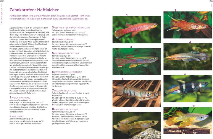 Immagine prodotto Das grosse Praxishandbuch Aquarium (Tedesco, Ulrich Schliewen, 2017)