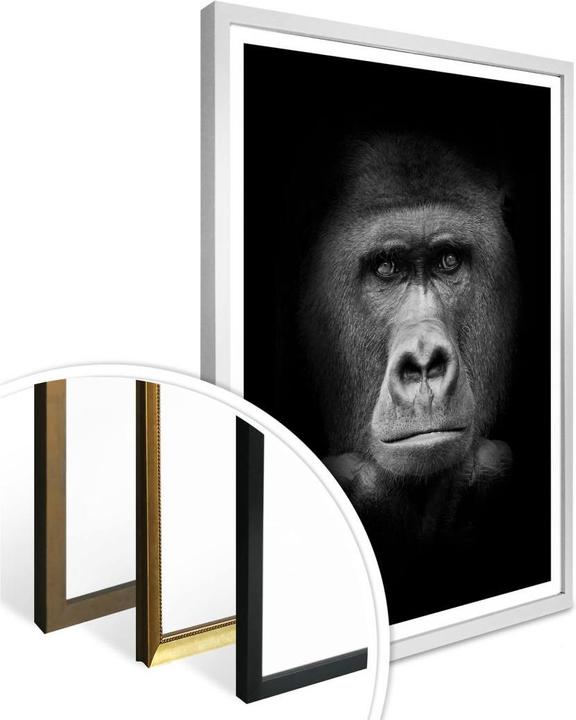 Produktbild Trenddeko Gorilla (60 x 80 cm)
