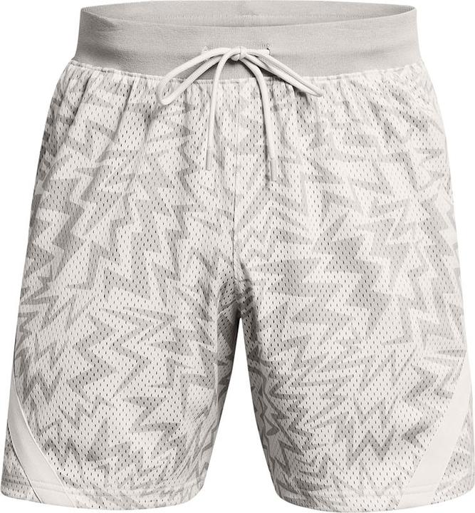 Under Armour Curry Mesh Short 2 (M)