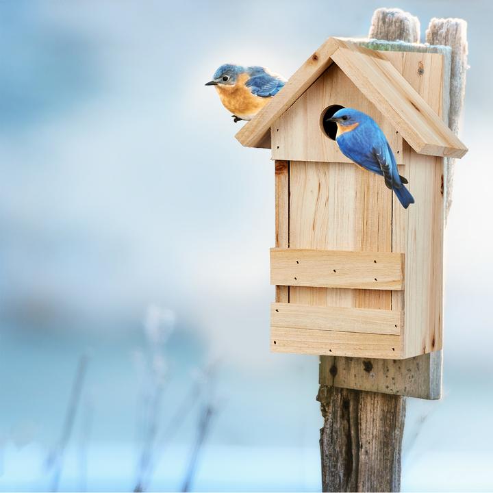Actual product image Relaxdays Nesting Box, Hanging Birdhouse