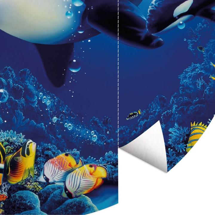 Produktbild Trenddeko Orcas Lebensfreude (Ø 236 cm)