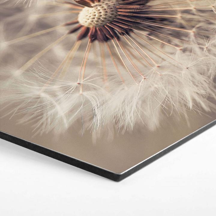 Image du produit Trenddeko Delgado - Pissenlit (55 x 47 cm)