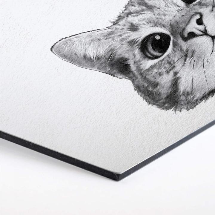 Produktbild Trenddeko Sneaky Cat (35 x 30 cm)
