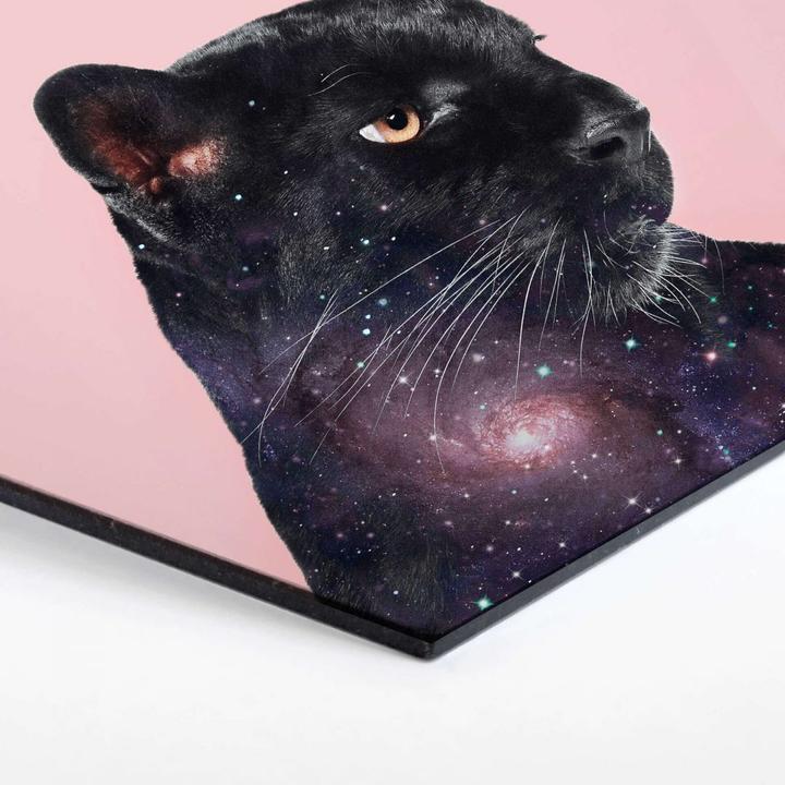 Produktbild Trenddeko Galaxy Panther (35 x 30 cm)