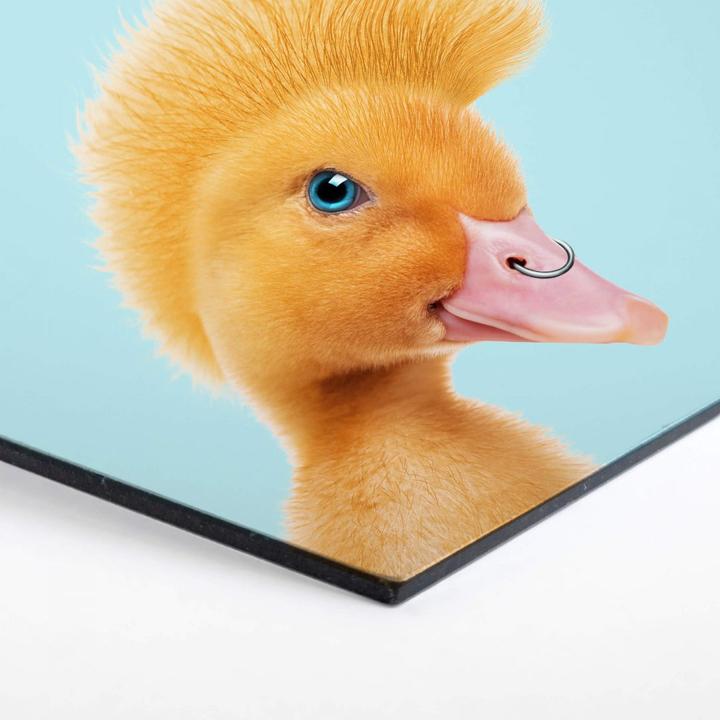 Image du produit Trenddeko Canard rebelle (35 x 30 cm)