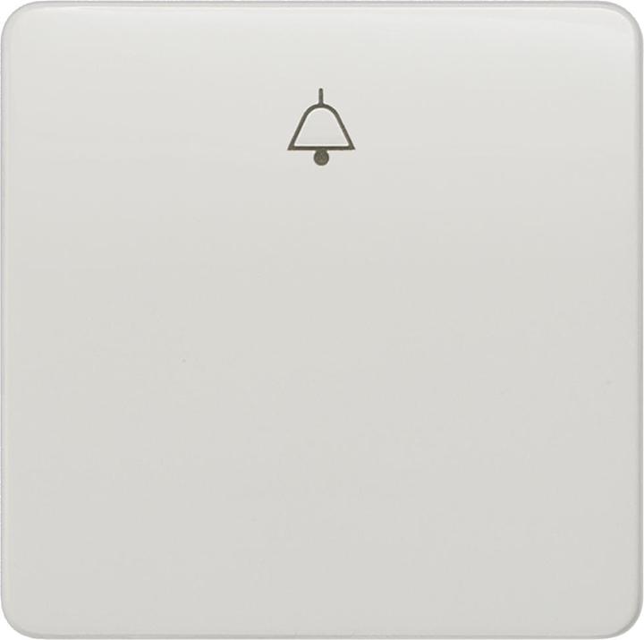 Actual product image Siemens Rocker 5TG7807 with symbol titanium white