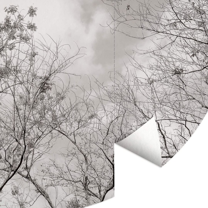 Actual product image Trenddeko Treetops in the sky (Ø 284 cm)