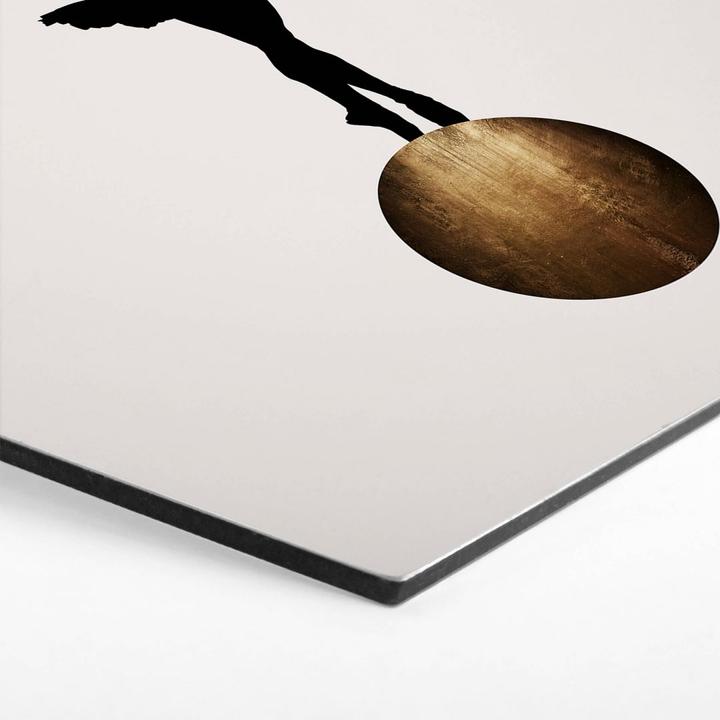 Produktbild Trenddeko Prima Ballerina (35 x 30 cm)