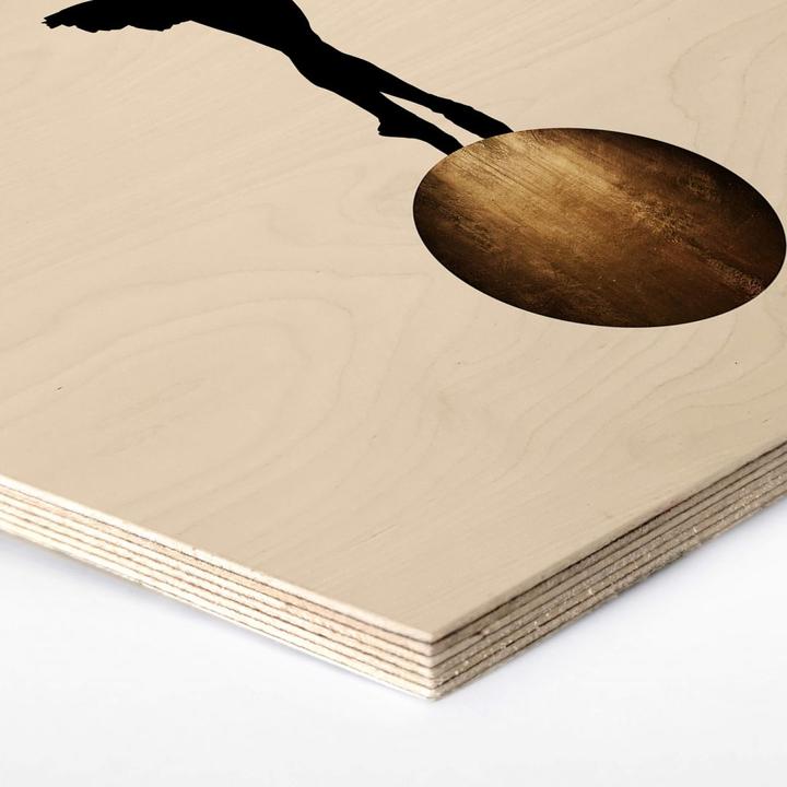 Produktbild Trenddeko Prima Ballerina (35 x 30 cm)