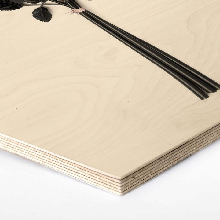 Immagine prodotto Trenddeko Rose selvatiche (35 x 30 cm)