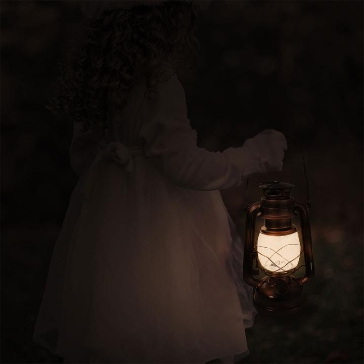 Produktbild Eaxus LED Sturmlampe