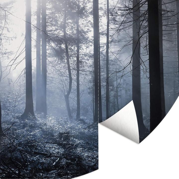 Produktbild Trenddeko Sonnenstrahlen im Wald Blau (236 cm)