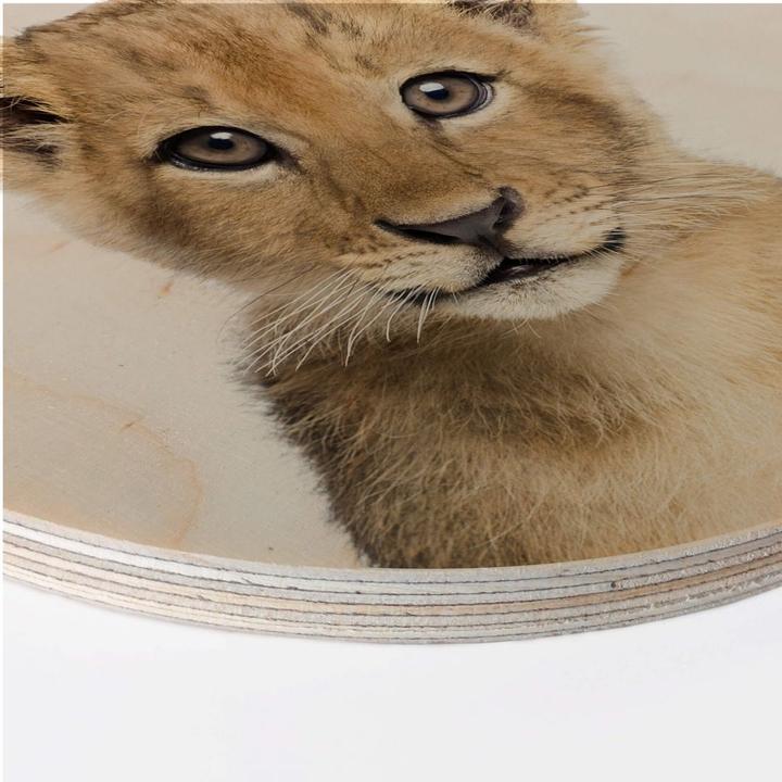 Produktbild Trenddeko Baby Löwe (30 x 30 cm)