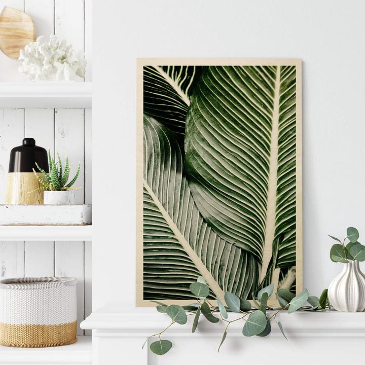 Image du produit Trenddeko Feuilles de palmier (20 x 30 cm)