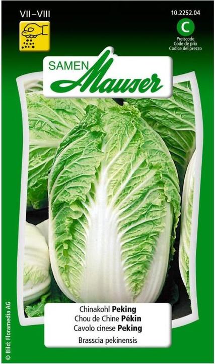 Image du produit Samen Mauser Chinakohl Peking (Graines de légumes)