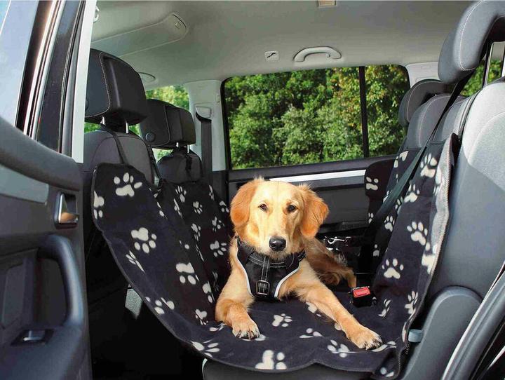 Image du produit Trixie Friends on Tour (Chien)