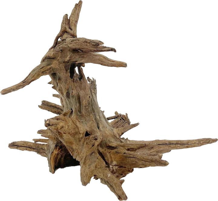 Amazonas World Corbo root Nano (Basics, Basics)