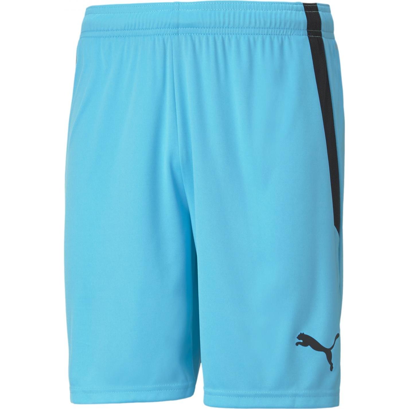 Thumbnail - Puma, Herren, Sporthose, teamLIGA Shorts-704924 (S), Rot, S