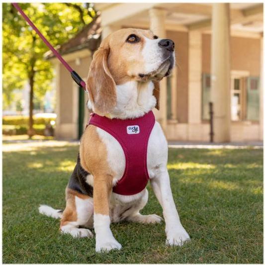 Actual product image Curli Harness Vest Air-Mesh L, Ruby (L, Dog, General)