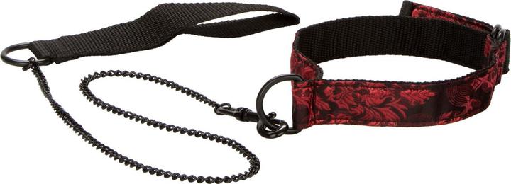 Actual product image CalExotics Scandal Submissive Kit