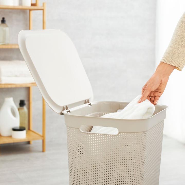 Image du produit Rotho Brises 1 (50 l)