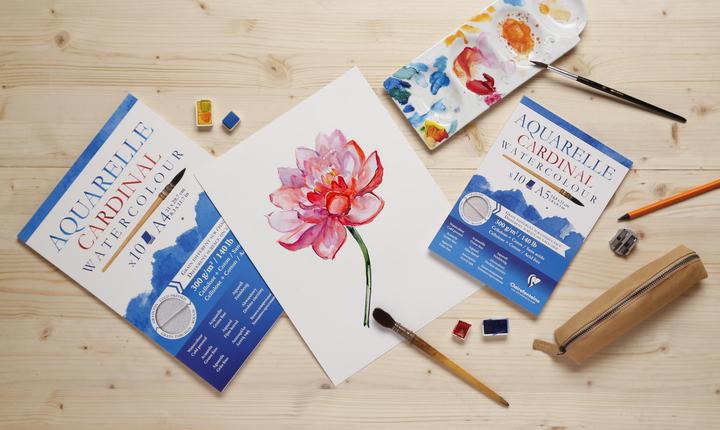 Image du produit Clairefontaine BLOC AQUARELLE COLLE 300G 24x30 10F (300 g/m², 1x)