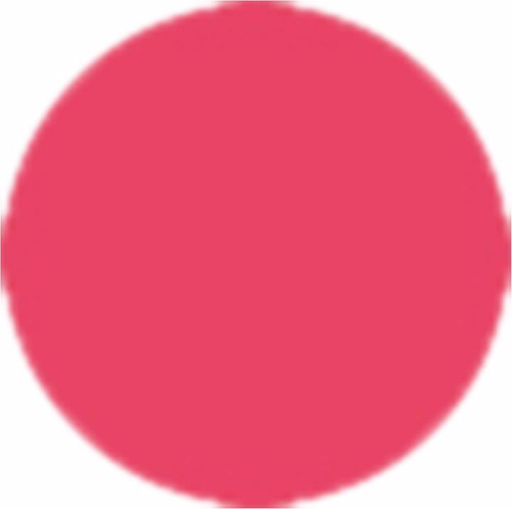 Image du produit Sensai Total Lip Gloss (02 Akebono Red)