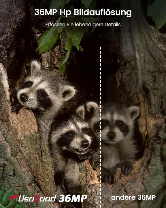 Image du produit UsoGood 4K Wildkamera mit Bewegungsmelder & Nachtsicht (TC30)