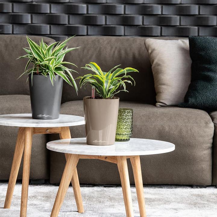 Produktbild Lechuza Deltini (15 cm)