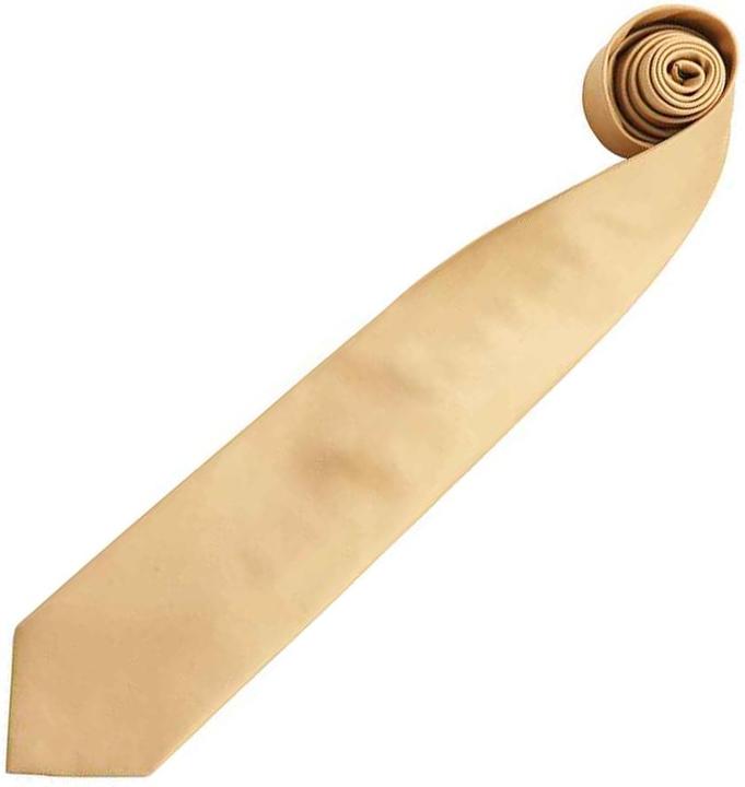 Image du produit Premier Cravate Colours unie