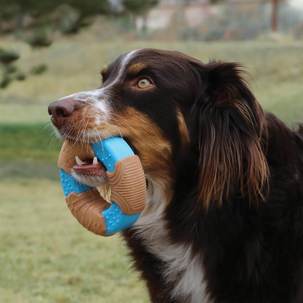 Immagine prodotto KONG Anello di bambù CoreStrength 9,5 cm - (KONGBMB31E) (Gioco da masticare per cani)