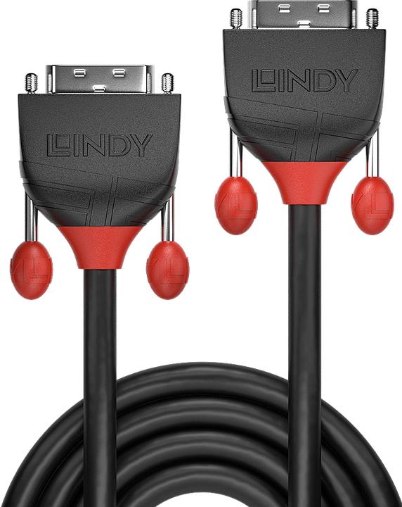 Actual product image Lindy Dvi — Dvi (10 m, DVI)