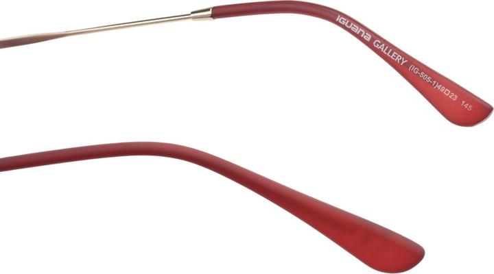 Actual product image Iguana Gallery Sunglasses