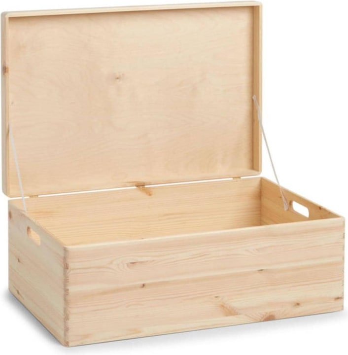 Image du produit Zeller Present Allzweckkiste (60 x 40 x 24 cm, 57.50 l)