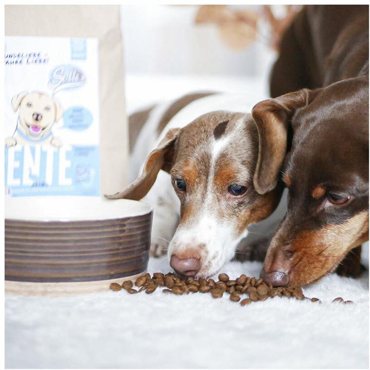 Actual product image Sollis Dry food duck minis 2kg (Adult, 2000 g)