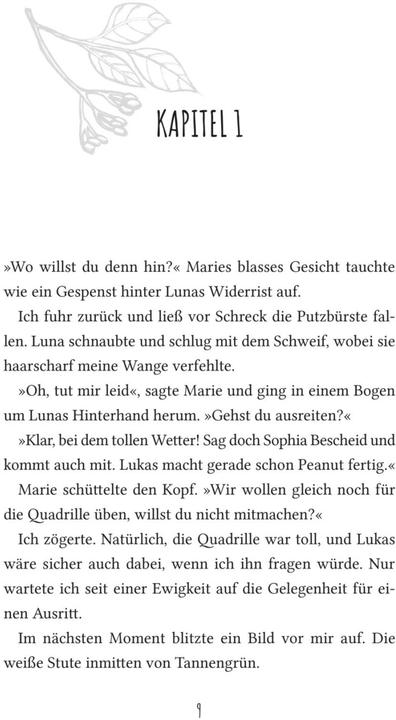 Produktbild Soulhorse 1: Mein Traumpferd und andere Katastrophen (Deutsch, Ruth Rahlff)