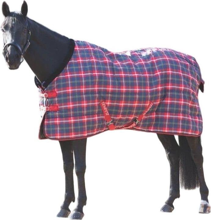 Image du produit Tempest - Couverture de box pour chevaux PLUS (160 cm)