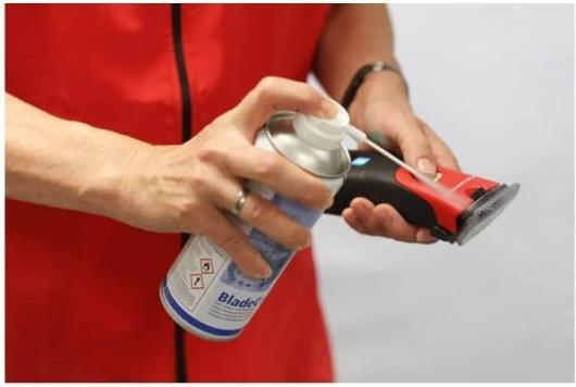 Immagine prodotto Kerbl Aesculap Favorita (Cavallo, Gatto)