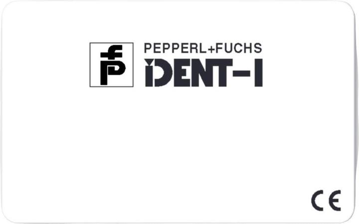 Actual product image Pepperl & Fuchs PEPPERL+FUCHS IPC02-C1 10pcs