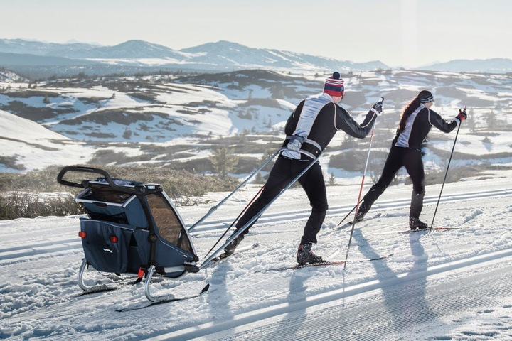 Actual product image Thule Chariot Cross 1