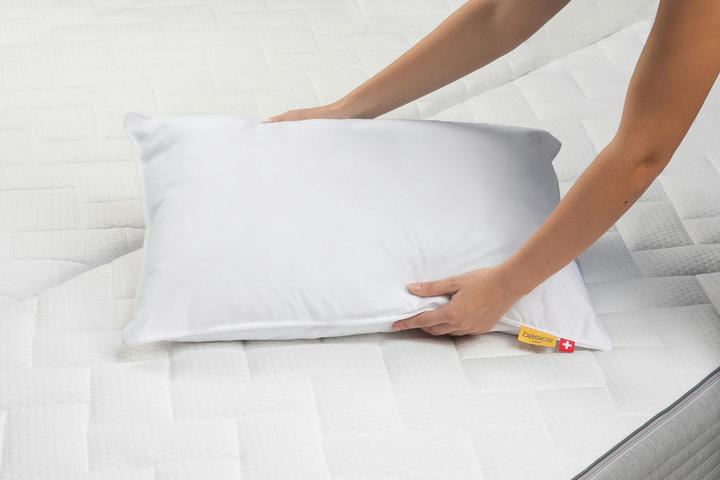 Immagine prodotto bico Primaloft Bio (50 x 70 cm)