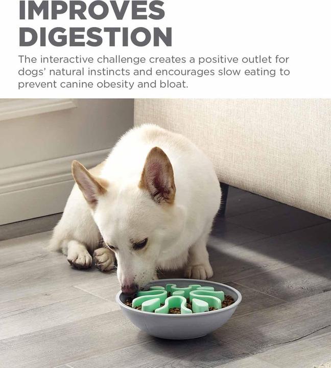 Produktbild Outward Hound Fun Feedeer Wobble Slow Bowl Mint 23X8Cm - (645.5564) (7.39 cl)