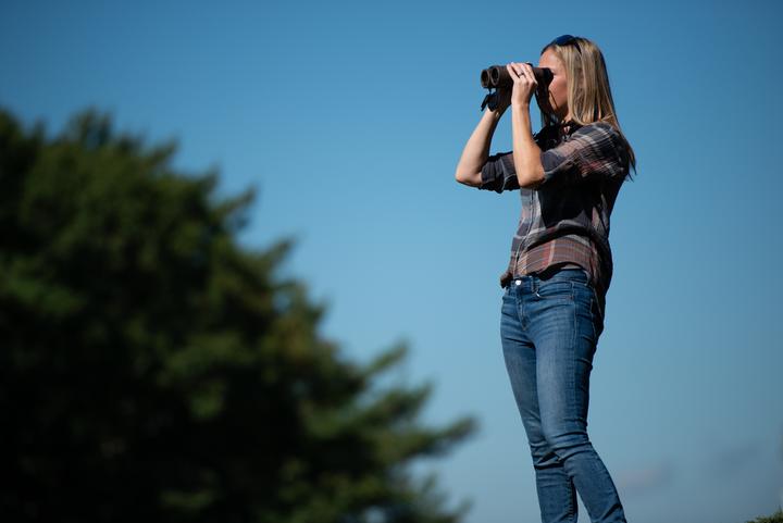 Produktbild Bushnell Forge 8x42 terrain roof prism (8 x, 42 mm)